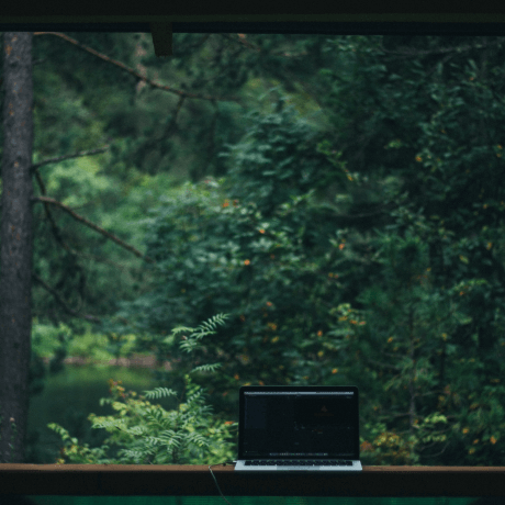 фото ноутбука на фоне леса
